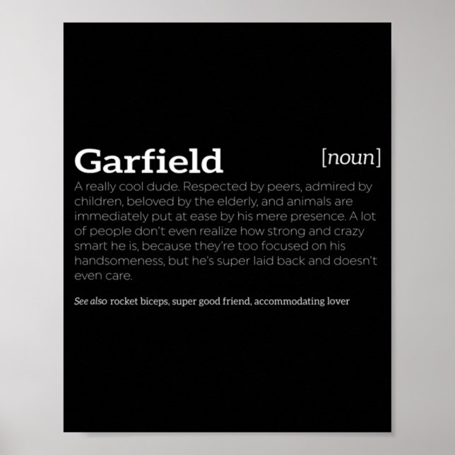 Garfield is a Cool Dude  Fun Compliment  Poster (Front)