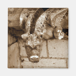 gargoyle magnet
