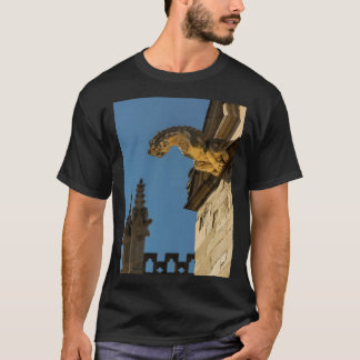 Gargoyles on York Minister Long  T-Shirt