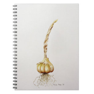 garlic 1998 notebook