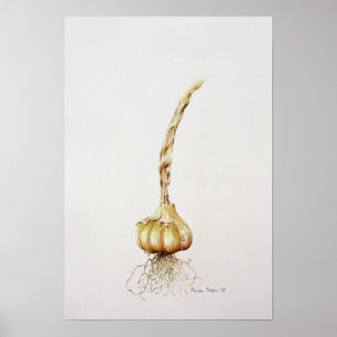 garlic 1998 poster