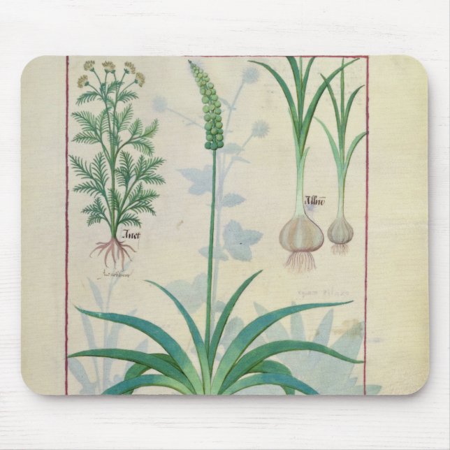 Garlic and other plants mouse pad (Front)