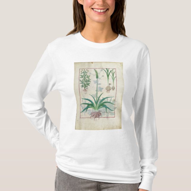 Garlic and other plants T-Shirt (Front)