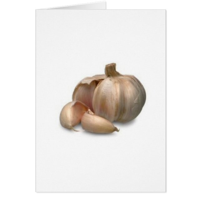 Garlic bulb (Front)