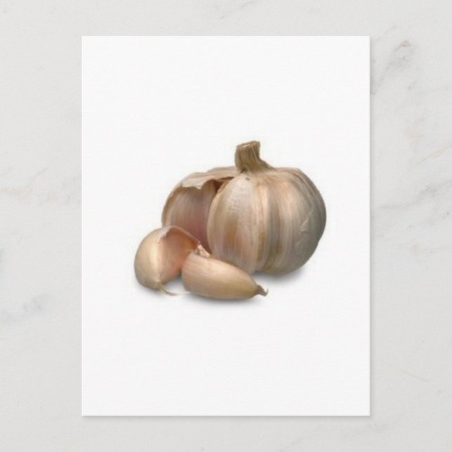 Garlic bulb postcard (Front)