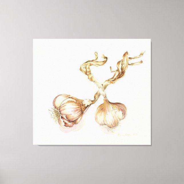 Garlic bulbs 2005 canvas print (Front)
