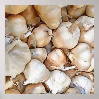 Garlic Bulbs Poster