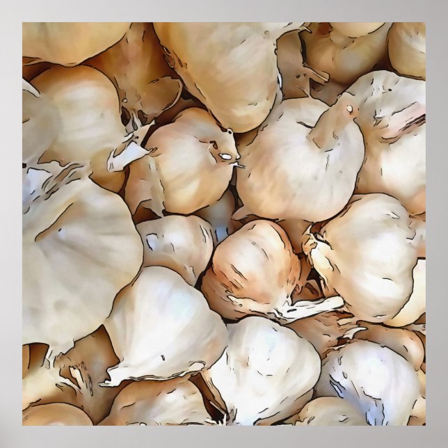 Garlic Bulbs Poster (Front)