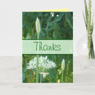 Garlic Chives Banner card-customise any occasion Thank You Card
