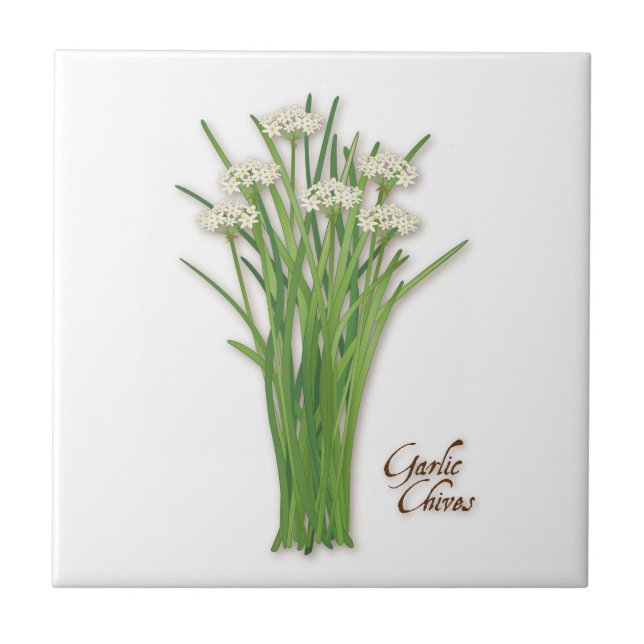 Garlic Chives Herb Ceramic Tile (Front)