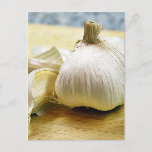 Garlic Cloves Still Life Postcard (Front)