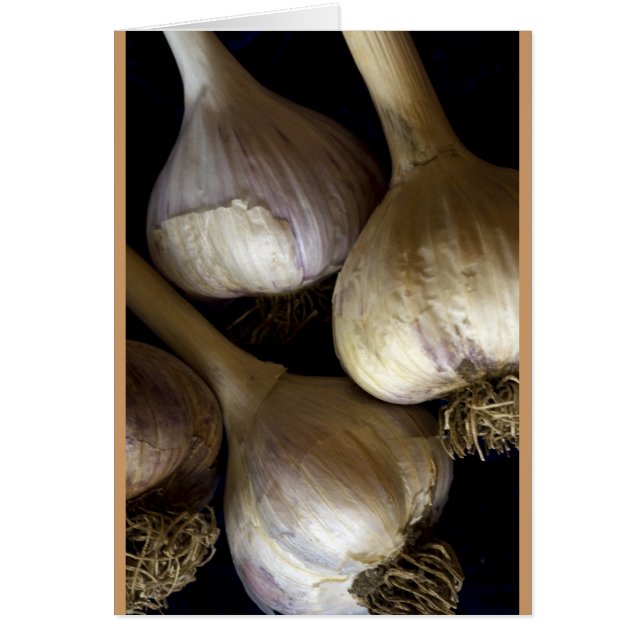 Garlic Heads (Front)