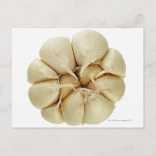 Garlic isolated on white background, DFF image, Postcard