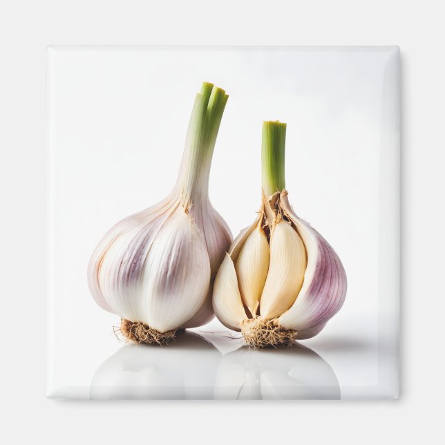 Garlic Magnet (Front)