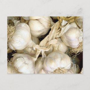 Garlic Postcard