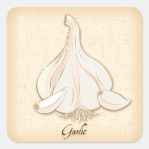 Garlic Square Sticker