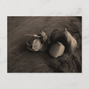 Garlic Still Life Fine Art Photograph Postcard