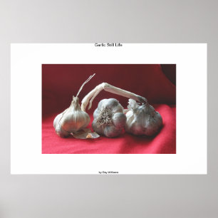 Garlic Still Life Poster