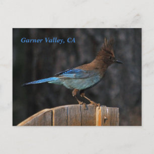 Garner Valley, CA postcard