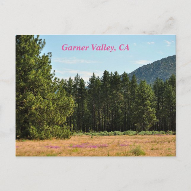 Garner Valley, CA postcard (Front)