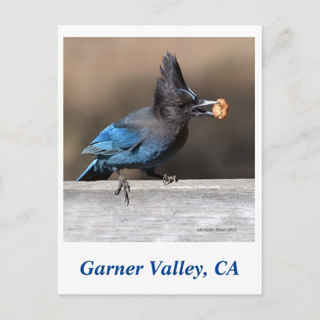 Garner Valley Postcard (Front)
