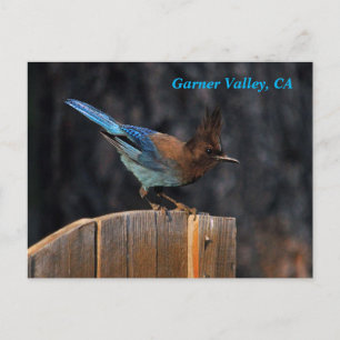 Garner Valley Postcard