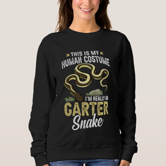 Garter Snake Funny Reptile Animals Pet Sweatshirt (Front)