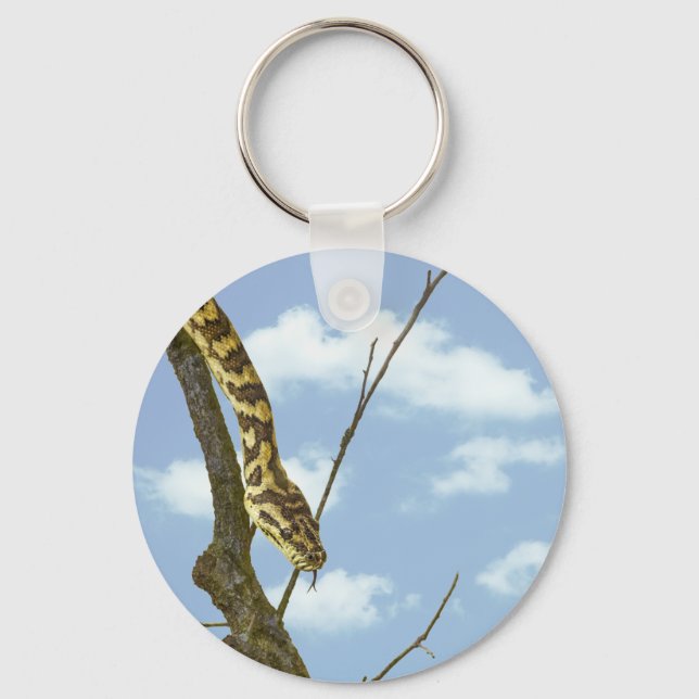 Garter Snake on a Limb against a Blue Sky Key Ring (Front)