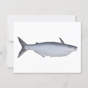 Garua Bachcha Postcard