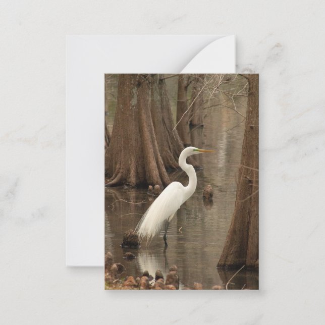Garza Note Card (Front)
