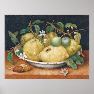 Garzoni - Still Life With Bowl Of Citrons Poster