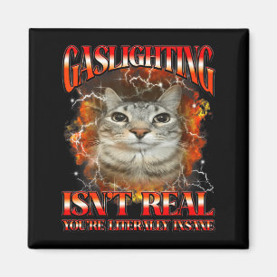 Gaslighting Isnt Real Funny Cat Meme Bootleg Graph Magnet