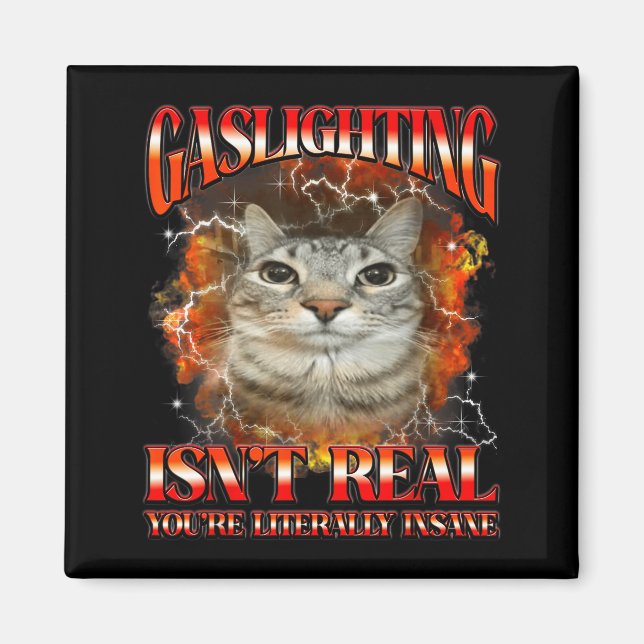 Gaslighting Isnt Real Funny Cat Meme Bootleg Graph Magnet (Front)
