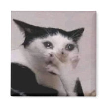 Gasp Cat Meme