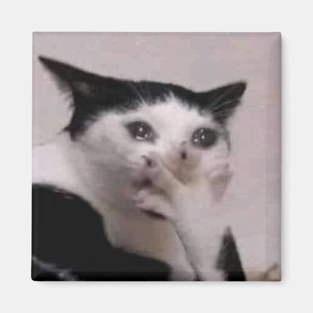 Gasp Cat Meme Magnet (Front)