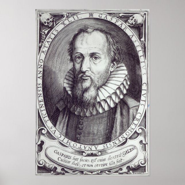 Gaspare Aselli Poster (Front)