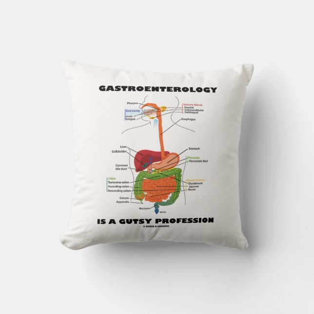 Gastroenterology Is A Gutsy Profession Cushion (Front)