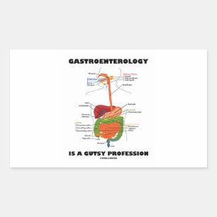 Gastroenterology Is A Gutsy Profession Rectangular Sticker