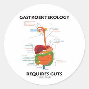 Gastroenterology Requires Guts (Digestive System) Classic Round Sticker