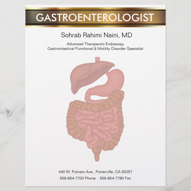 Gastroenterology Theme Medical Letterhead Template (Front)