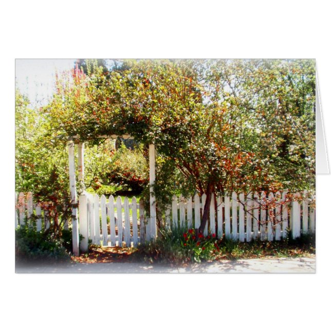 Gate, McCloud (Front Horizontal)