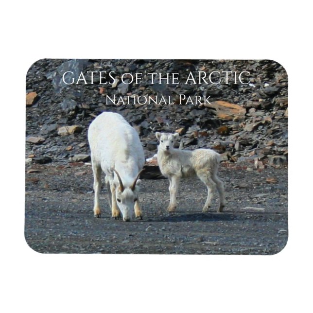 Gates of the Arctic National Park Magnet (Horizontal)