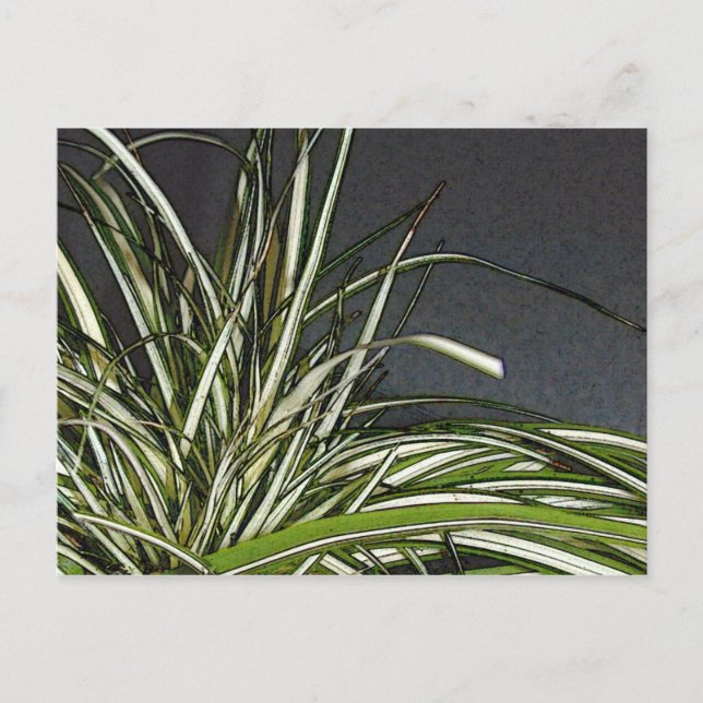 Gatha Postcard (Front)