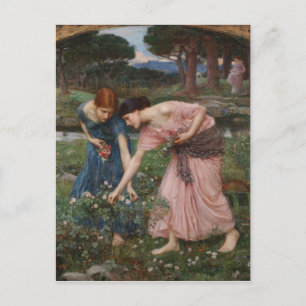 Gather Ye Rosebuds While Ye May Postcard