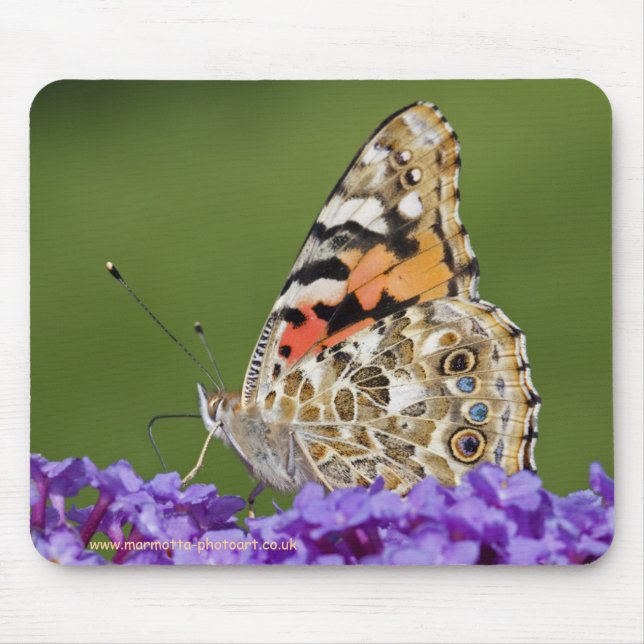 Gathering Nectar Mousemat (Front)