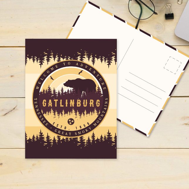 Gatlinburg Tennessee Bear Pine Trees Nature Postcard (Creator Uploaded)