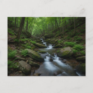 Gatlinburg , Tennessee Forest waterfall Postcard