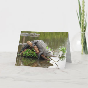 Gator 0076 Greeting Card