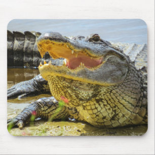 Gator. Face to face Mouse Pad