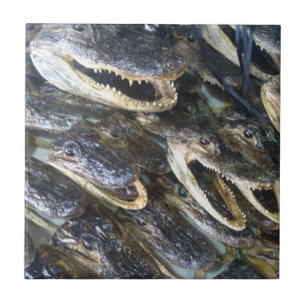 Gator Head Ceramic Tile